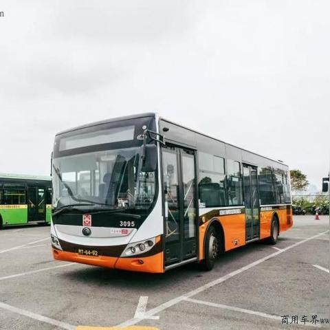 新澳门精准十二码中特|权威解答解释落实_进取版.6.46