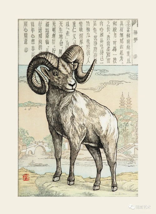 三码中特期期准|探索生活中的小技巧_半成版.4.636