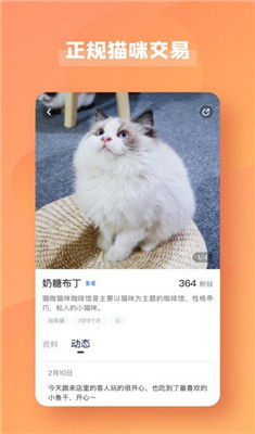 猫猫喵喵内置功能菜单下载-猫猫喵喵下载安卓v.2.57 猫猫喵喵内置功能菜单下载-猫猫喵喵下载安卓v.2.57